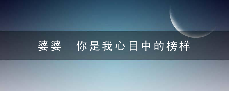 婆婆 你是我心目中的榜样